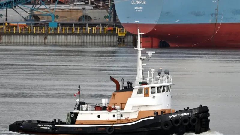 PACIFIC MARINER II General Cargo IMO 6709713 photo 10