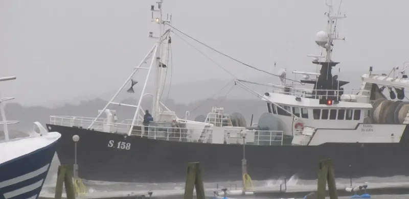 SARON General Cargo IMO 6710140 photo 6