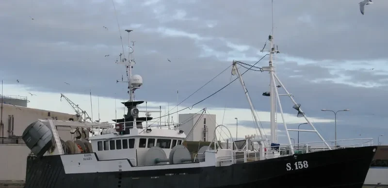 SARON General Cargo IMO 6710140 photo 10