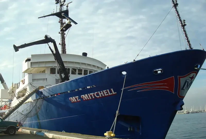 MITCHELL General Cargo IMO 6710932 photo 4