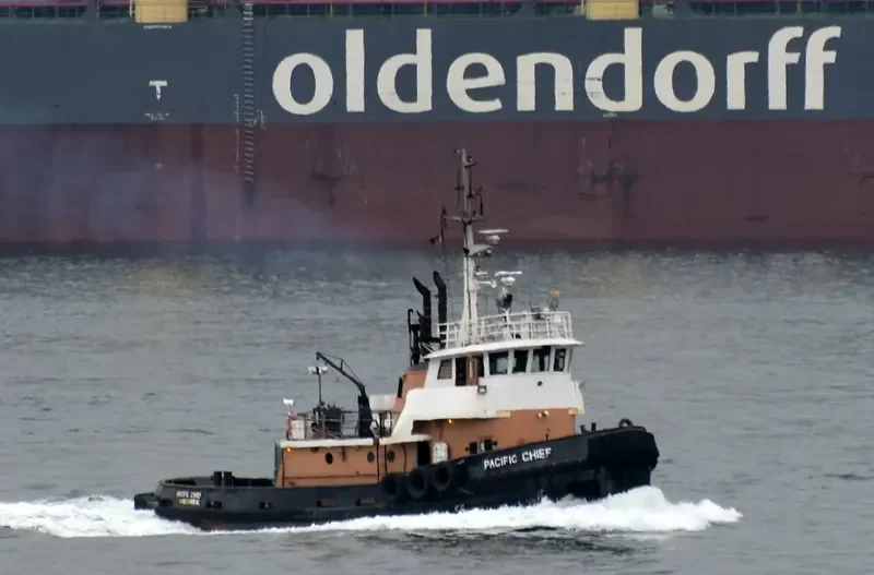 PACIFIC CHIEF General Cargo IMO 6712174