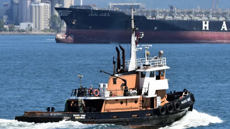 PACIFIC CHIEF General Cargo IMO 6712174 photo 2