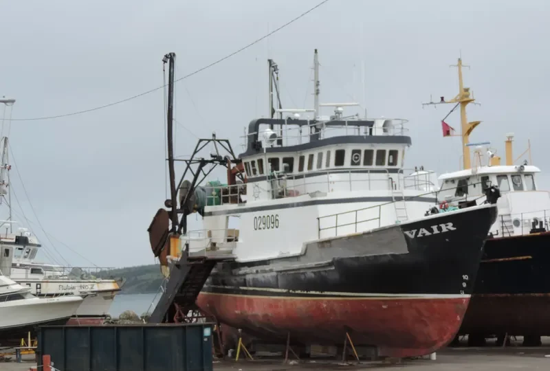 VAIR General Cargo IMO 6717409