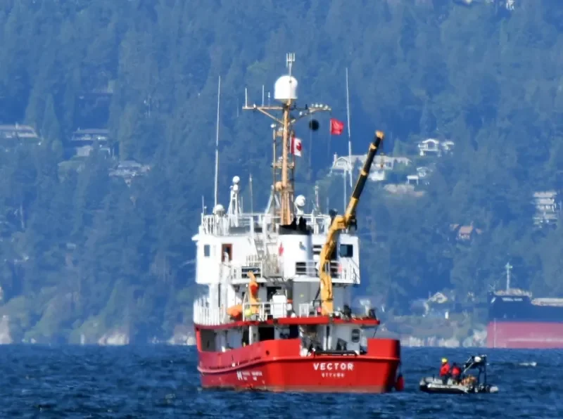 VECTOR General Cargo IMO 6717760 photo 3