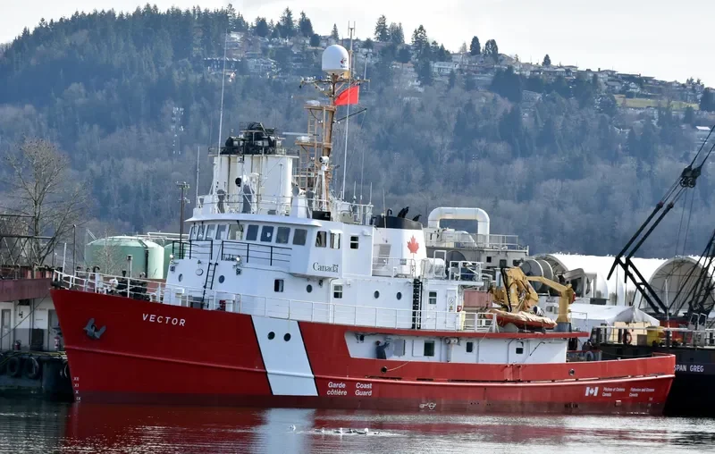 VECTOR General Cargo IMO 6717760 photo 5