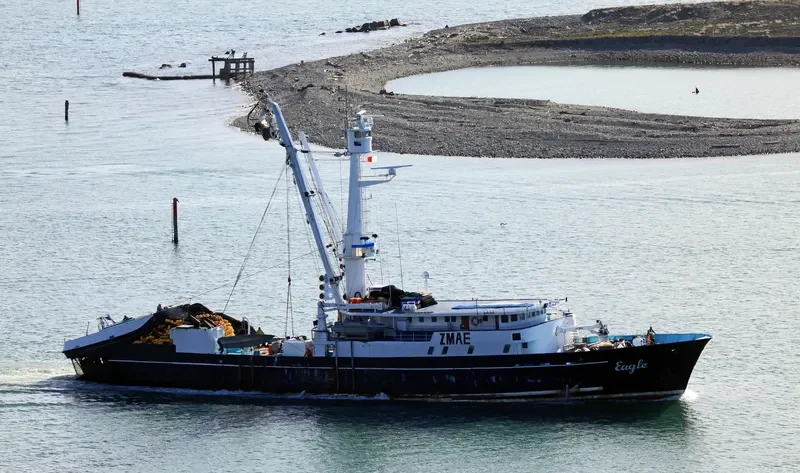 EAGLE General Cargo IMO 6717801 photo 4