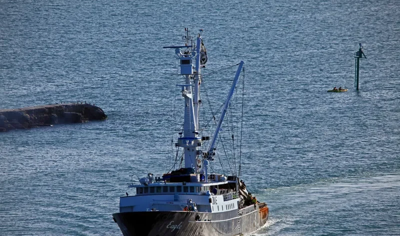 EAGLE General Cargo IMO 6717801 photo 6
