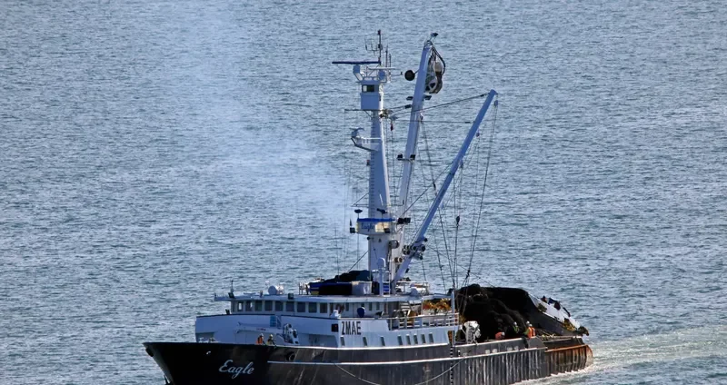 EAGLE General Cargo IMO 6717801 photo 7
