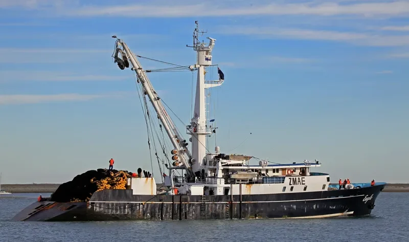 EAGLE General Cargo IMO 6717801 photo 9
