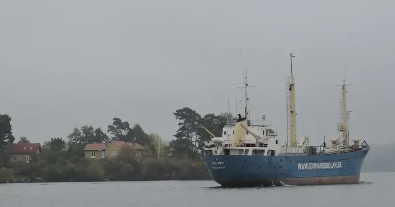 POLFORS General Cargo IMO 6717887 photo 9