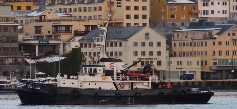 SQUALUS General Cargo IMO 6718219 photo 3