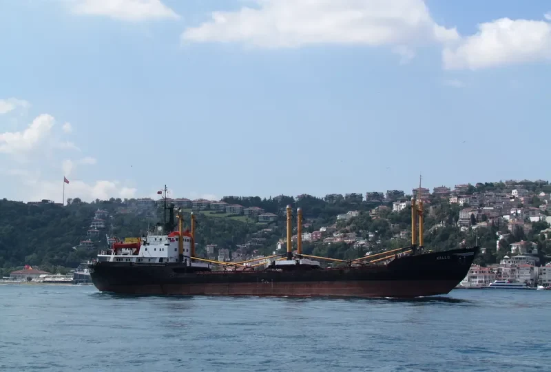 KALLO General Cargo IMO 6718879 photo 3