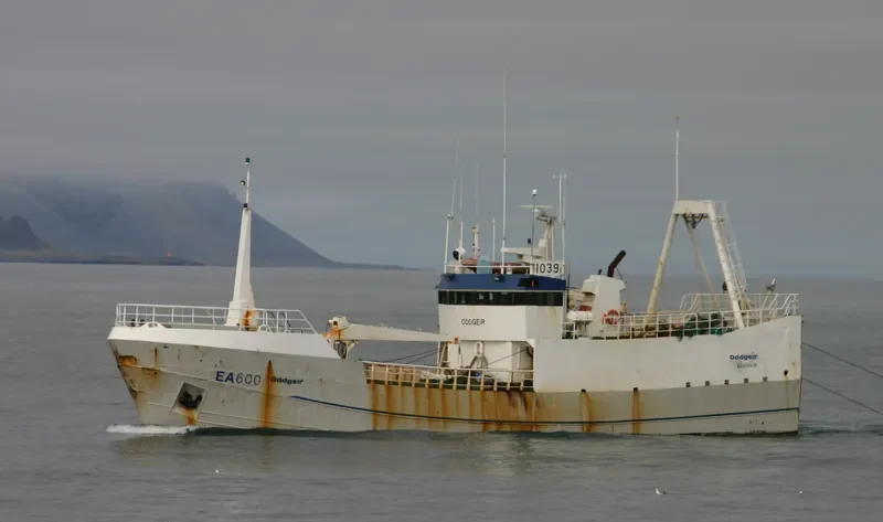 MAGNUS General Cargo IMO 6721072 photo 9