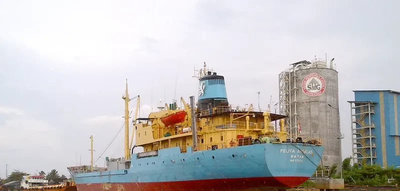 PELITA ANDALAS General Cargo IMO 6721474 photo 2