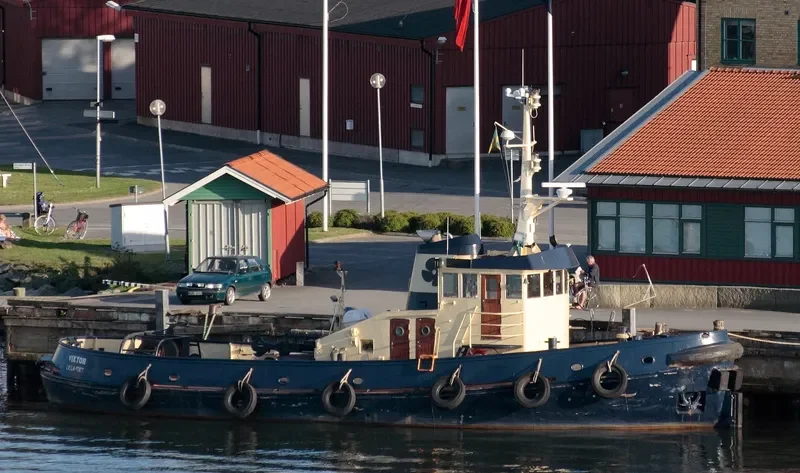 VIKTOR General Cargo IMO 6721876 photo 9