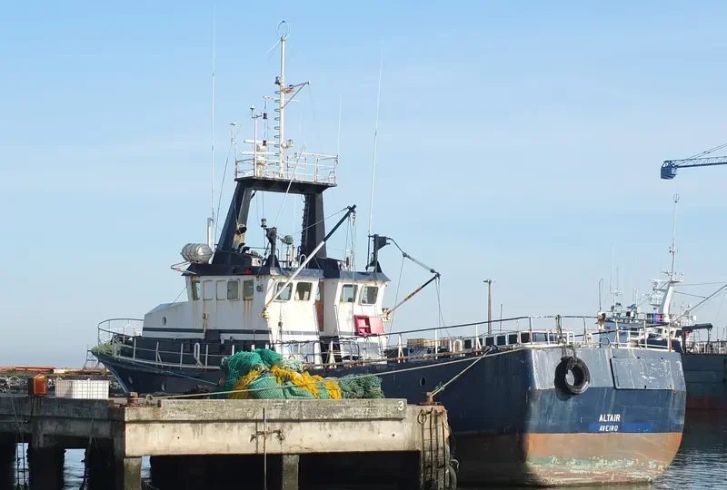 ALTAIR General Cargo IMO 6722466