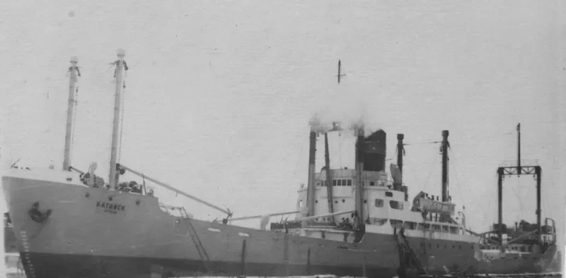 BATAYSK General Cargo IMO 6722739