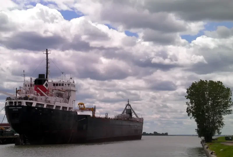 CANADIAN RANGER Bulk Carrier IMO 6723771
