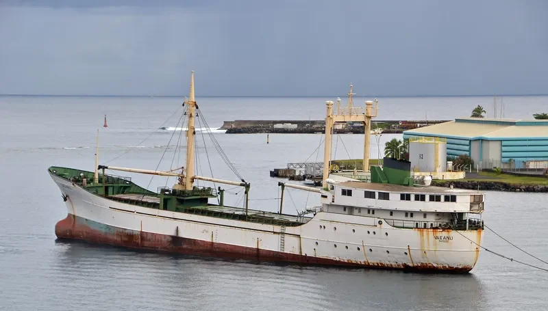 VAEANU Passenger Ship IMO 6726175