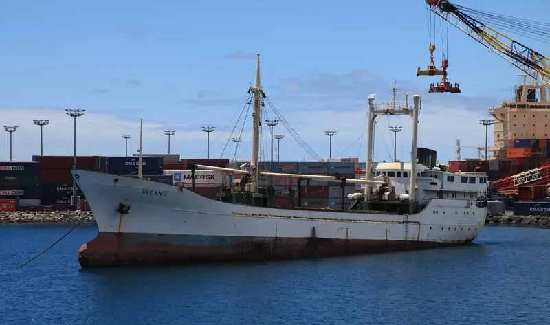 VAEANU Passenger Ship IMO 6726175 photo 4