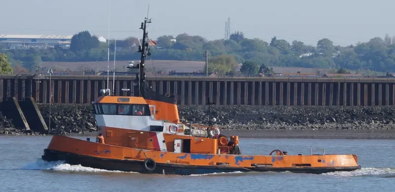 BOSS TUG General Cargo IMO 6726852 photo 4