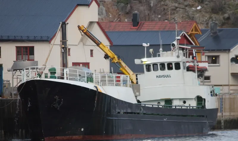 HAVGULL General Cargo IMO 6727260