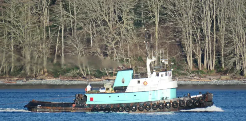 ISLAND SCOUT General Cargo IMO 6728018 photo 2