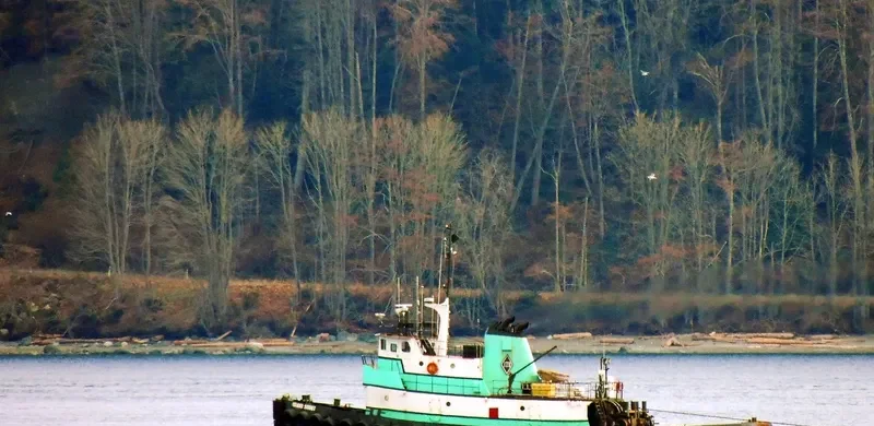 ISLAND SCOUT General Cargo IMO 6728018 photo 7