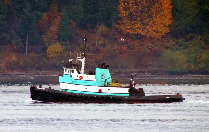 ISLAND SCOUT General Cargo IMO 6728018 photo 8