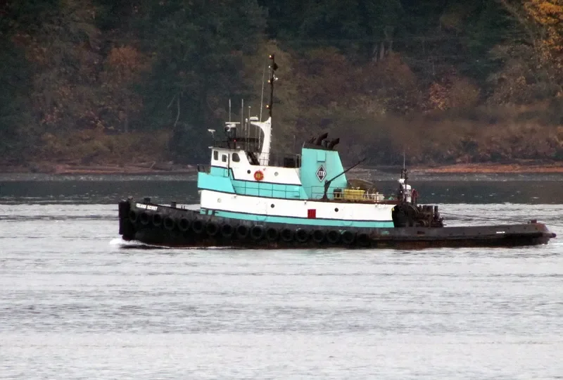 ISLAND SCOUT General Cargo IMO 6728018 photo 9