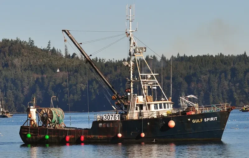 QUINBY ALLIE General Cargo IMO 6728109