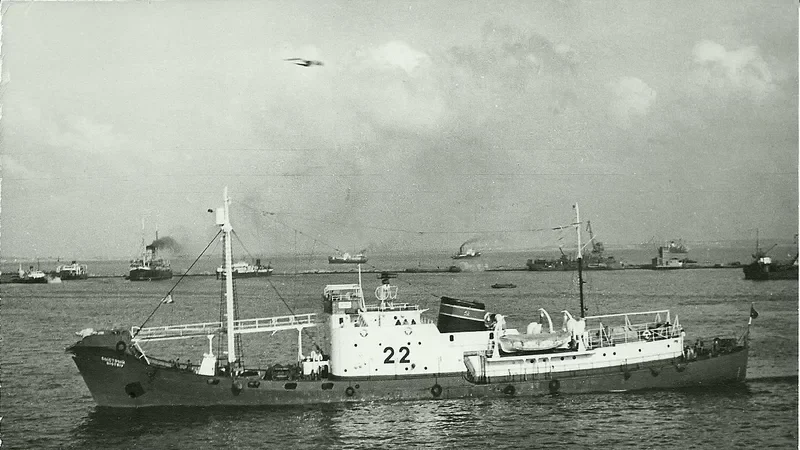 BYSTRYY General Cargo IMO 6800191
