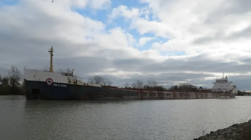 TIM S.DOOL Bulk Carrier IMO 6800919 photo 3