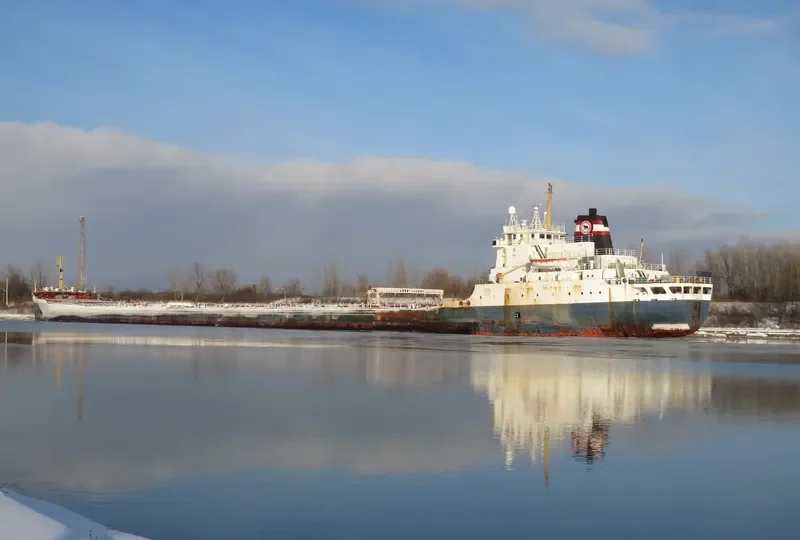 TIM S.DOOL Bulk Carrier IMO 6800919 photo 6