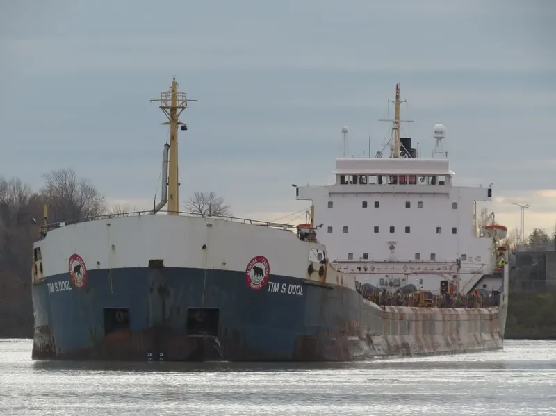 TIM S.DOOL Bulk Carrier IMO 6800919 photo 7