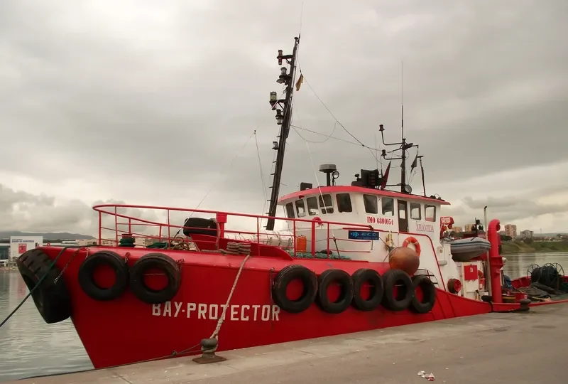BAY PROTECTOR General Cargo IMO 6801054