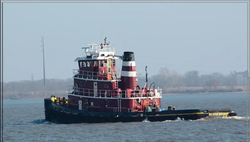MCALLISTER RESPONDER General Cargo IMO 6801743 photo 7