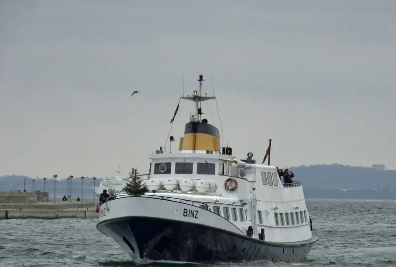 BINZ Passenger Ship IMO 6801822 photo 2