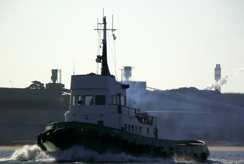 RESISTENTE General Cargo IMO 6803404 photo 6