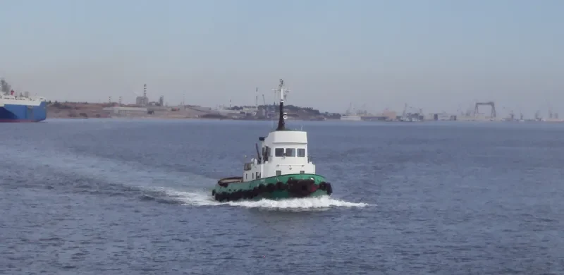 RESISTENTE General Cargo IMO 6803404 photo 7