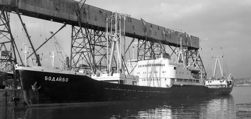 LUCKY FALCON General Cargo IMO 6805177