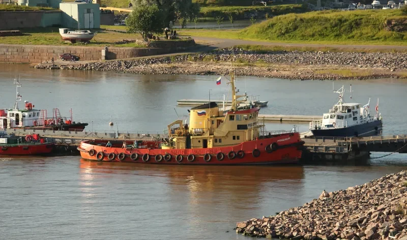 MOSHCHNIY General Cargo IMO 6805438