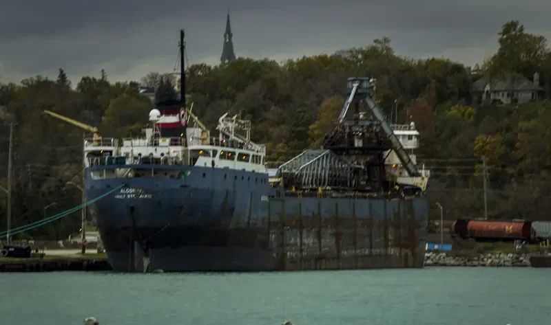ALGORAIL Bulk Carrier IMO 6805531