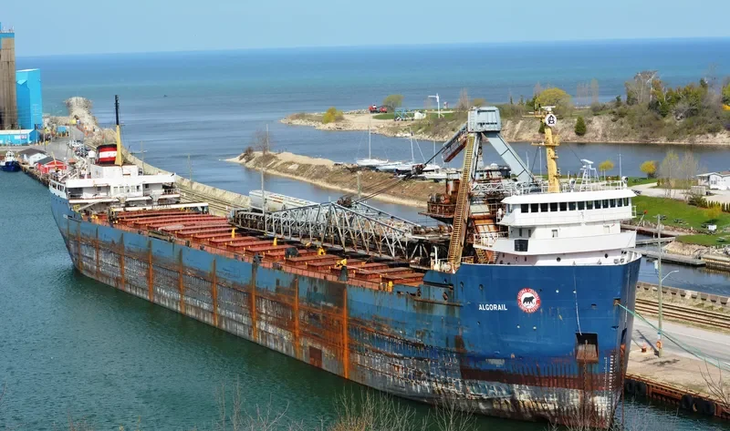 ALGORAIL Bulk Carrier IMO 6805531 photo 3