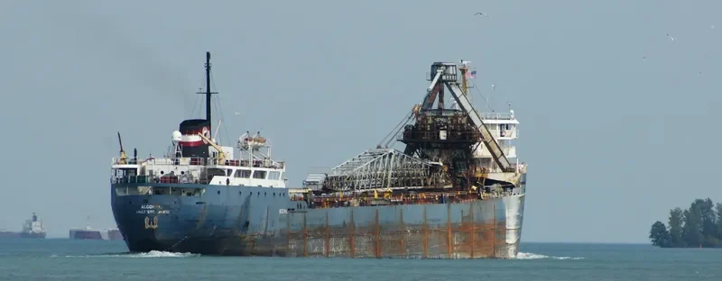ALGORAIL Bulk Carrier IMO 6805531 photo 6