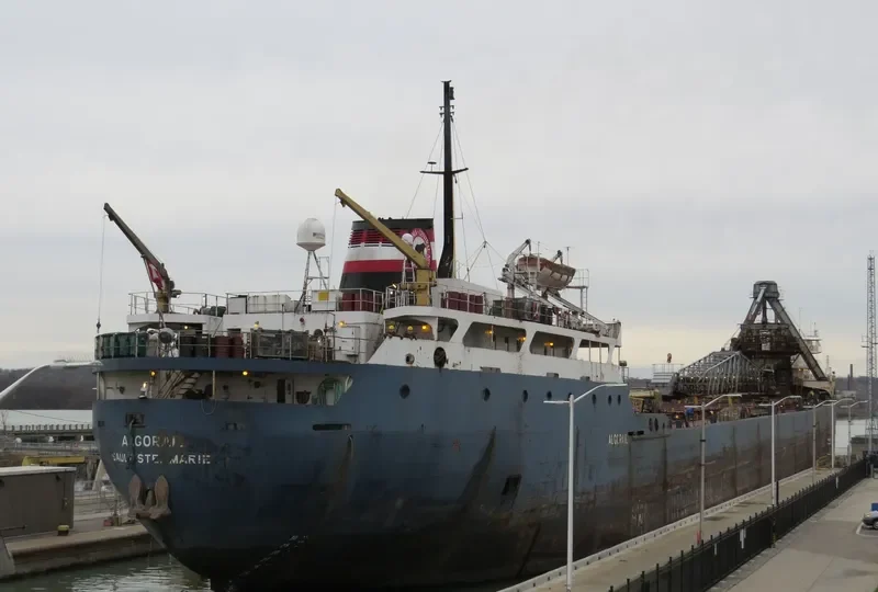 ALGORAIL Bulk Carrier IMO 6805531 photo 9
