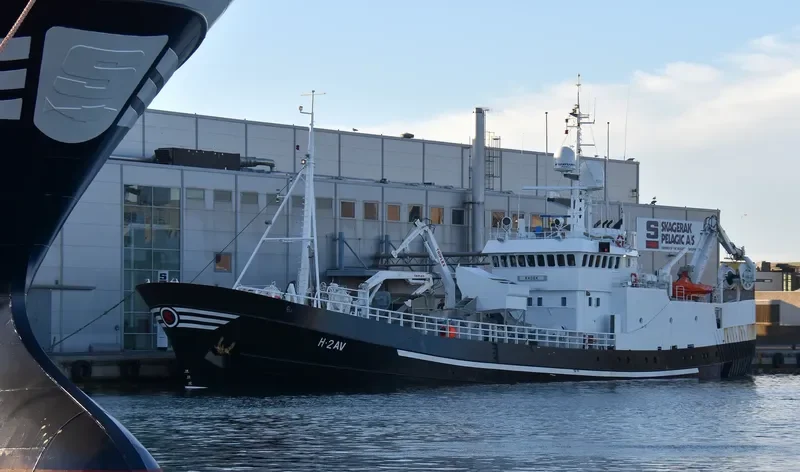 RADEK General Cargo IMO 6806535