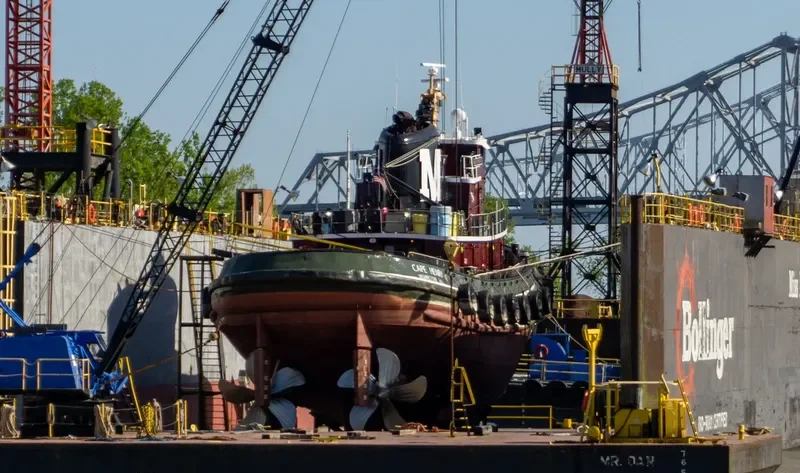 CAPE HENRY General Cargo IMO 6807022 photo 10
