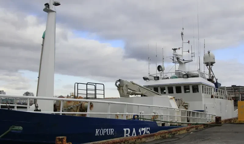 VALDIMAR H. General Cargo IMO 6807785 photo 3