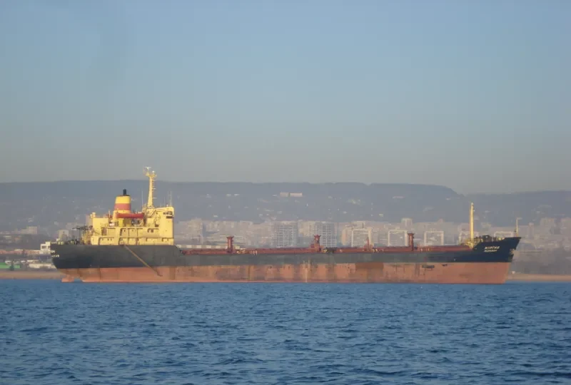 MURGASH Bulk Carrier IMO 6809343 photo 3